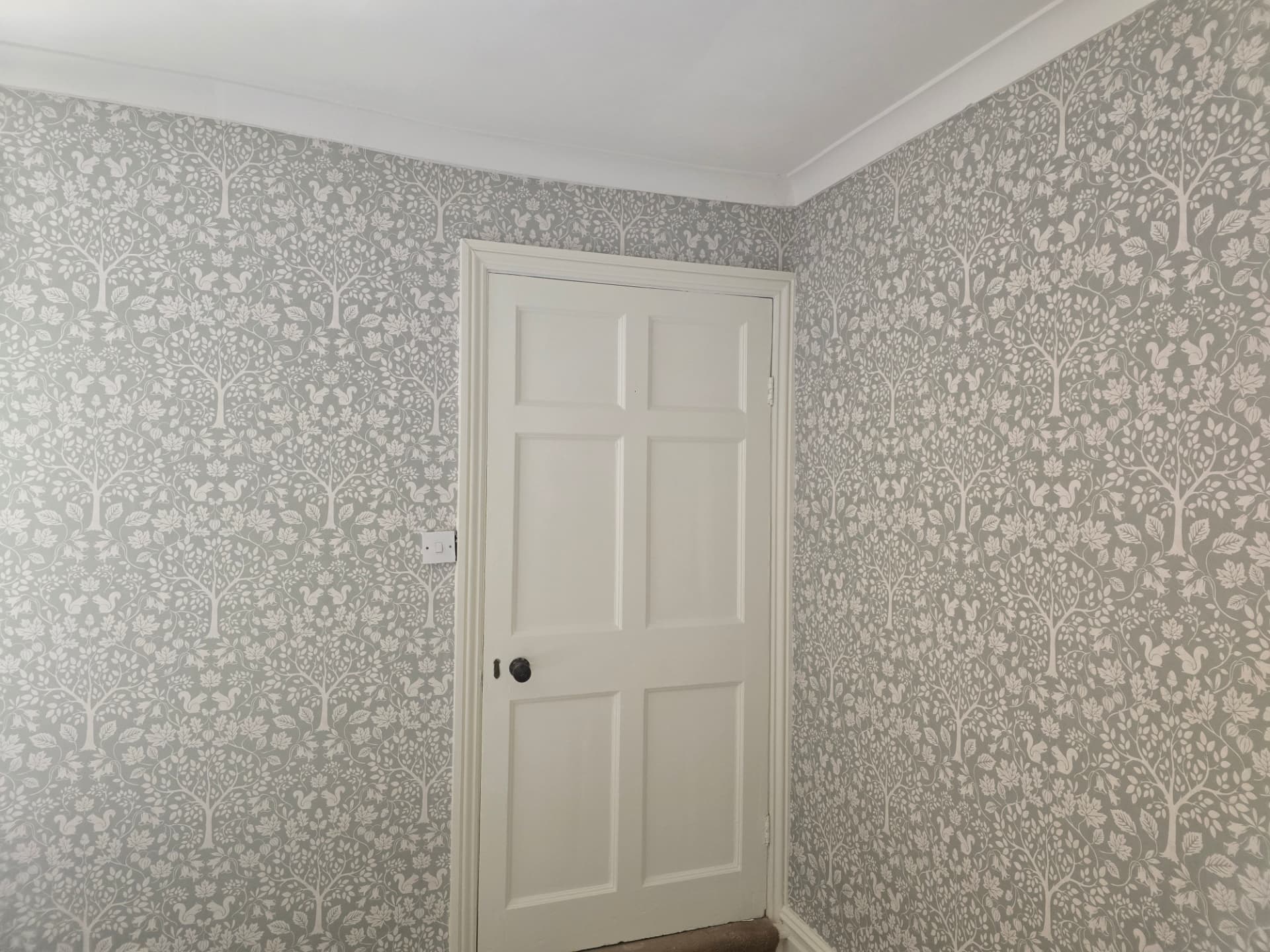 Room finished with paint and patterned wallpaper in Market Harborough, Leicestershire